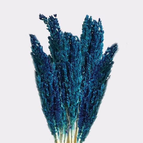 Cantal Grass Bunch - Blue