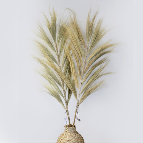 Rayung Grass Blond - 1.6m - Niche & Cosy 